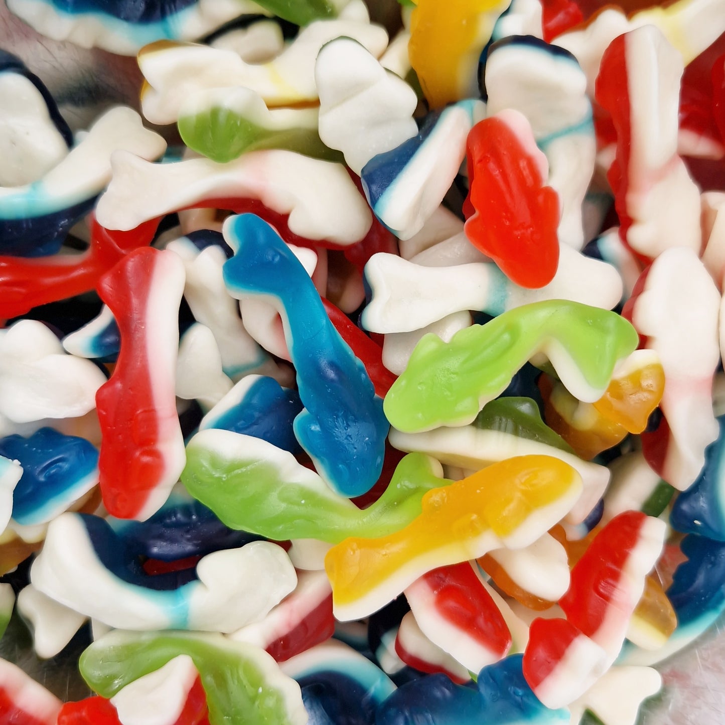 Gummy Sharks