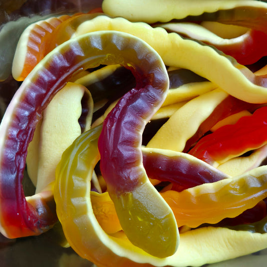 Yellow Belly Snakes